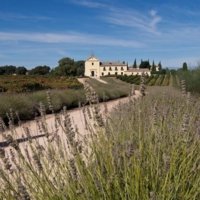 visit Dominio de Valdepusa